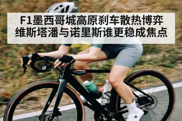 F1墨西哥城高原刹车散热博弈 维斯塔潘与诺里斯谁更稳成焦点